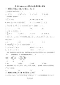 江苏淮安2024年七年级上学期数学期中模拟试题+答案