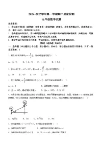 山东省泰安市东平县2024-2025学年九年级上学期11月期中考试数学试题