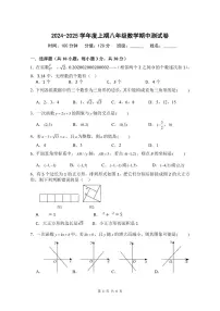河南省驻马店市第四中学2024-2025学年八年级上学期11月期中数学试题