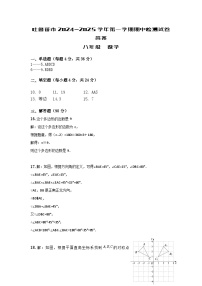 新疆维吾尔自治区吐鲁番市2024-2025学年八年级上学期11月期中数学试题