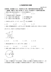 山东省菏泽市定陶区2024-2025学年九年级上学期期中考试数学试题