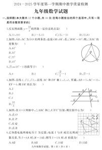 河北省石家庄市栾城区2024-2025学年九年级上学期期中考试数学试题