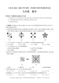 贵州省安顺市关岭布依族苗族自治县2024-2025学年九年级上学期11月期中数学试题