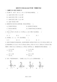 深圳中学初中部2024年八年级上学期11月期中考试数学试题+答案