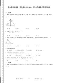 期末模拟测试卷（培优卷）2023-2024学年八年级数学上册人教版