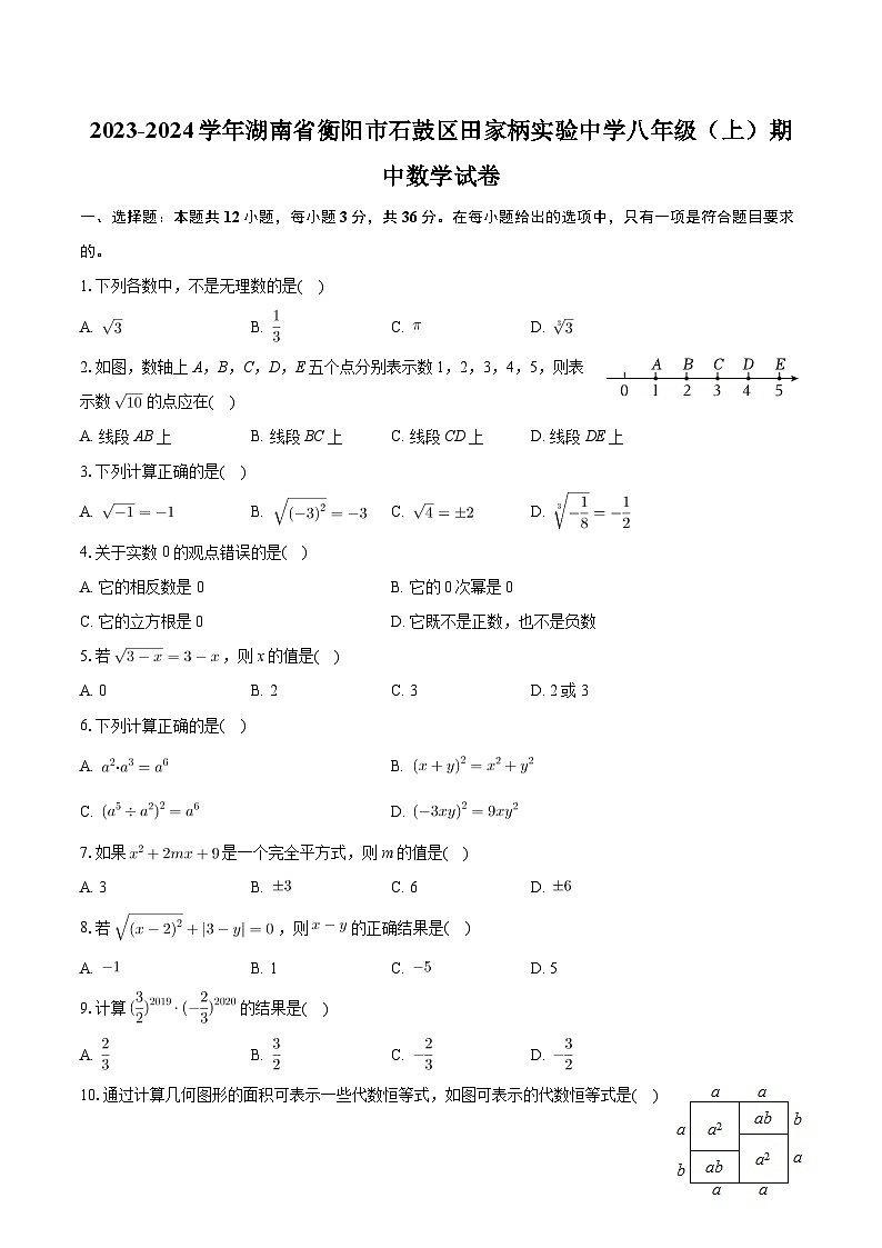 湖南省衡阳市石鼓区田家柄实验中学2023-2024学年八年级上学期期中数学试卷第1页