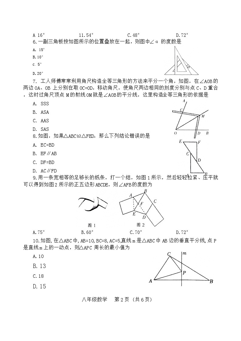 河南省濮阳市2024-2025学年八年级上学期11月期中考试数学试题第2页