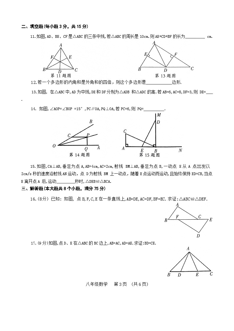 河南省濮阳市2024-2025学年八年级上学期11月期中考试数学试题第3页