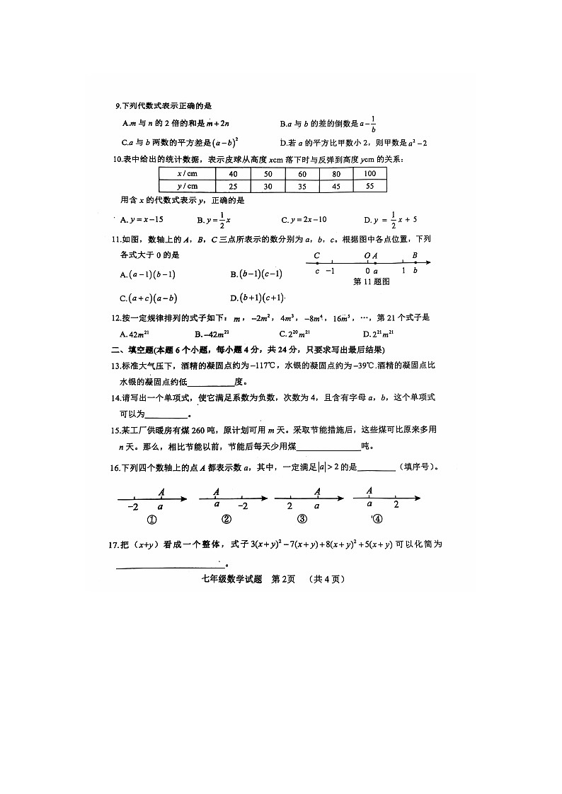 山东省聊城市东阿县2024-2025学年七年级上学期期中考试数学试题02
