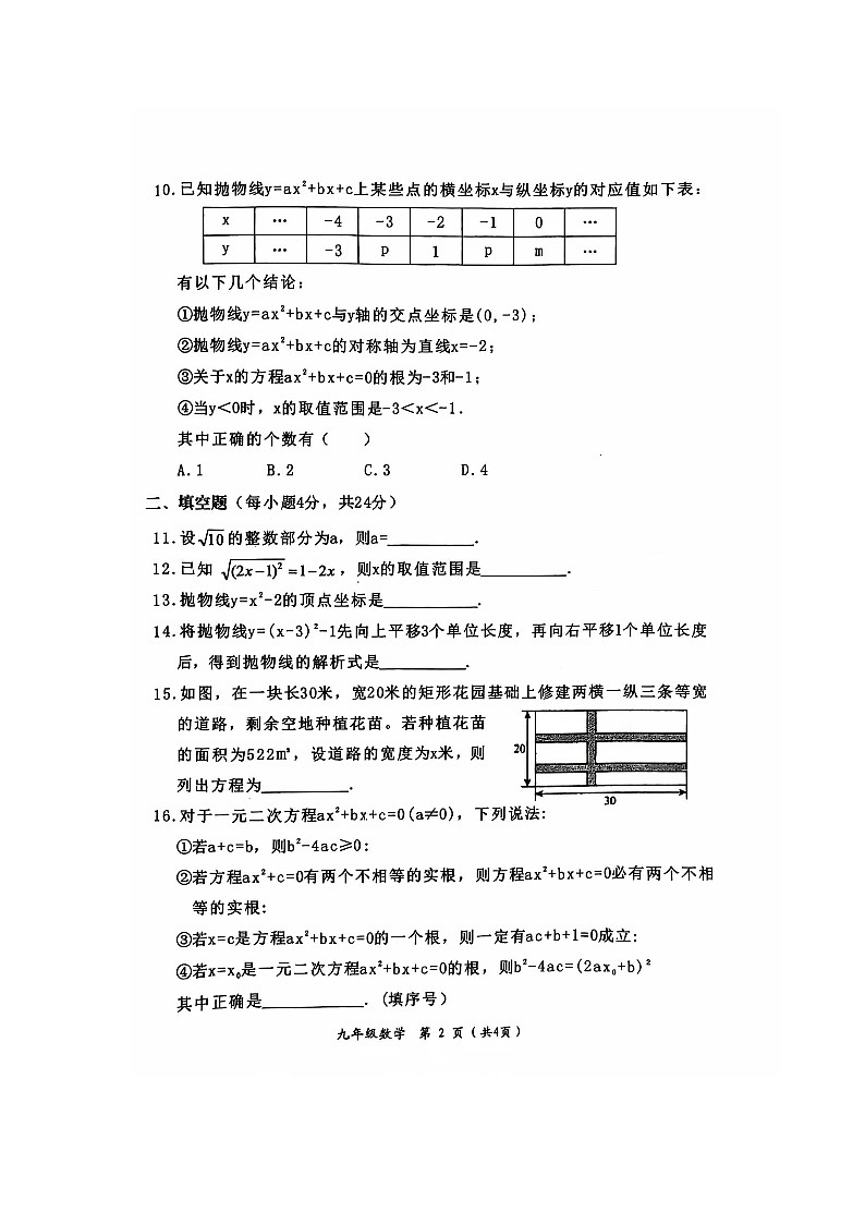 福建省漳州市华安县2024-2025学年九年级上学期11月期中考试数学试题02