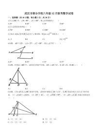 湖北省武汉市部分学校2023-2024学年八年级上学期月考数学试题