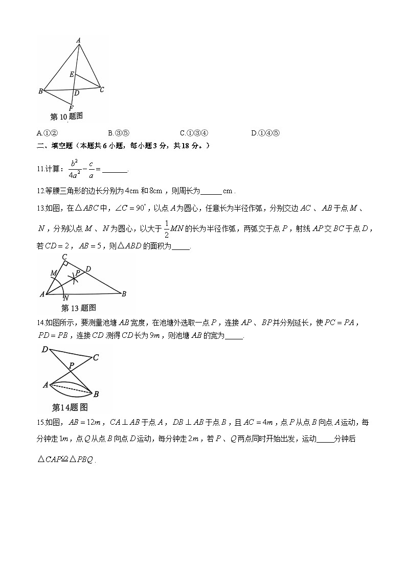 山东省聊城市莘县2024-2025学年八年级上学期期中数学试题第3页