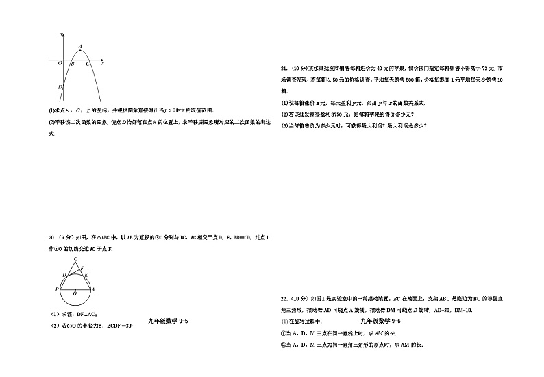 河南省信阳市淮滨县2024-2025学年上学期期中阶段性综合练习九年级数学试卷第3页