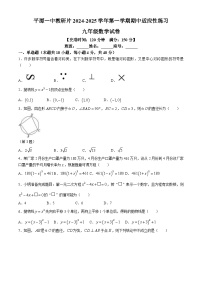 福建省平潭一中教研片2024—2025学年上学期九年级数学期中适应性练习