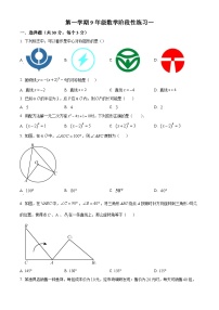 九年级上学期第一次月考数学试题 (29)