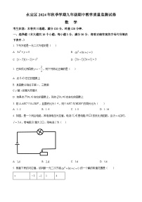湖南省张家界市永定区2024-2025学年九年级上学期期中考试数学试题（原卷版）