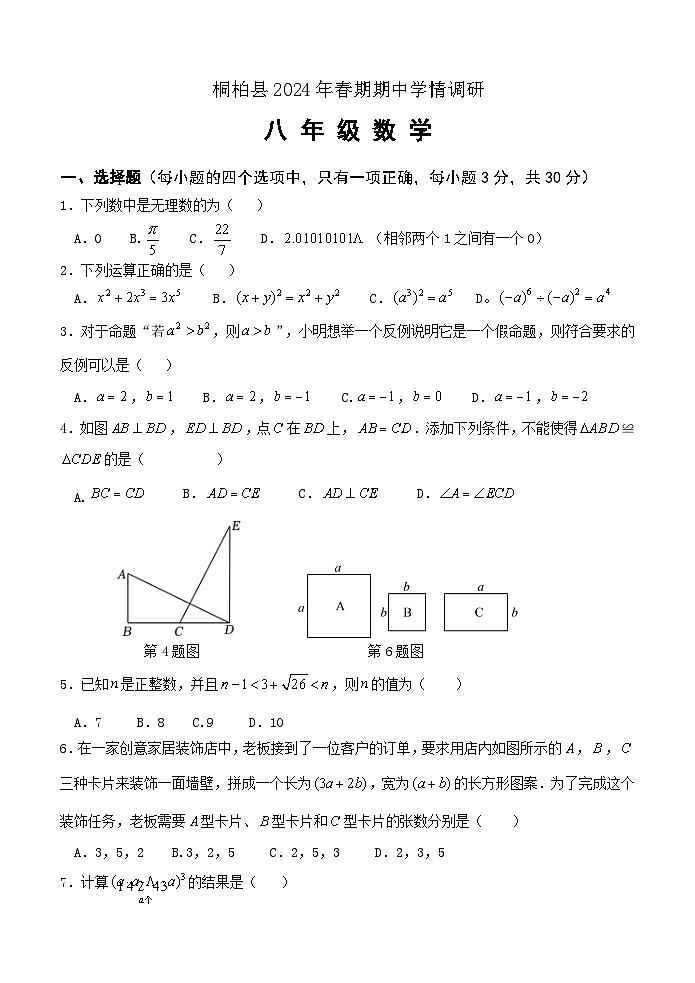 河南省南阳市桐柏县2024-2025学年八年级上学期11月期中考试数学试题01