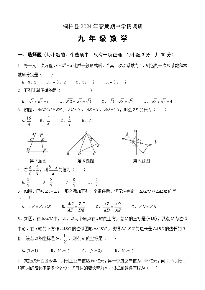 河南省南阳市桐柏县2024-2025学年九年级上学期11月期中考试数学试题01