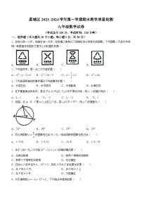2023-2024学年广东省惠州市惠城区九年级（上）期末数学试卷