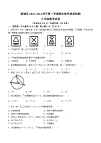 2023-2024学年广东省惠州市惠城区九年级（上）期末数学试卷