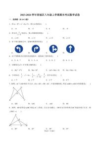 2023-2024学年湖南省长沙市望城区八年级（上）期末数学试卷