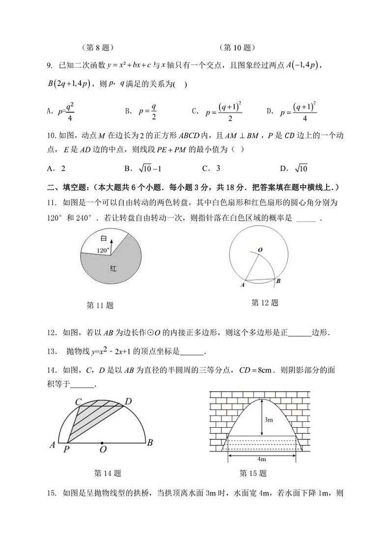 浙江省绍兴市新昌县农村初中五校联考2024~2025学年九年级上学期11月期中数学试题(含答案)第2页