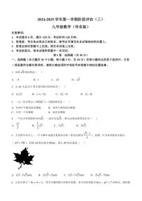 山西省长治市2024~2025学年九年级上学期11月月考数学试题(含答案)