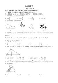 安徽省长丰县部分学校2024～2025学年上学期期中考试九年级数学试卷（含答案）