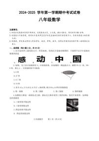 河南省濮阳市2024~2025学年八年级上学期11月期中考试数学试题(含答案)