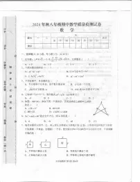 驻马店市上蔡县2024-2025学年八年级数学上期11月期中素质测试试卷（附答案）