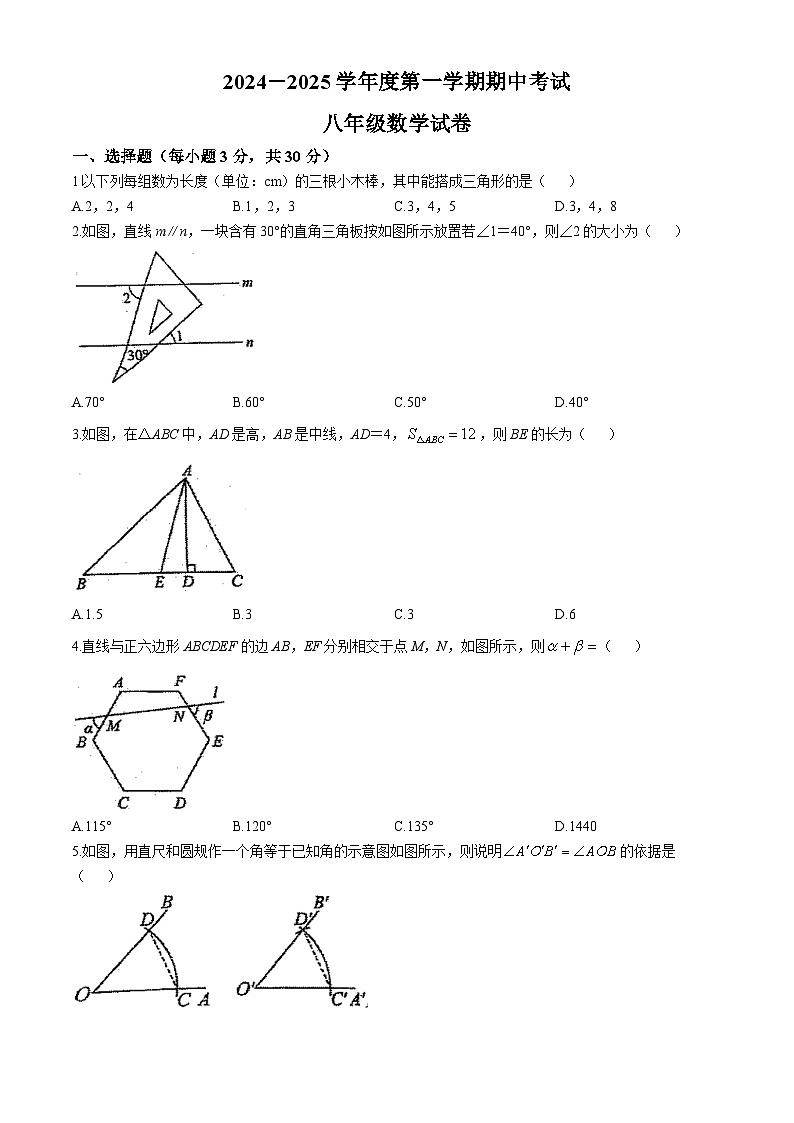 河南省商丘市2024-2025学年七年级上学期11月期中数学试题(无答案)第1页