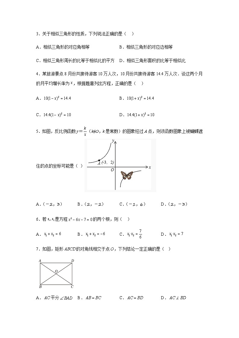 广东省河源市紫金县2023-2024学年九年级上学期期末数学试题(含解析)第2页