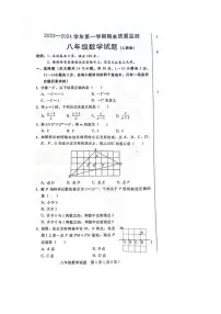 2023-2024学年河北省邯郸市冀南新区八年级（上）期末数学试卷