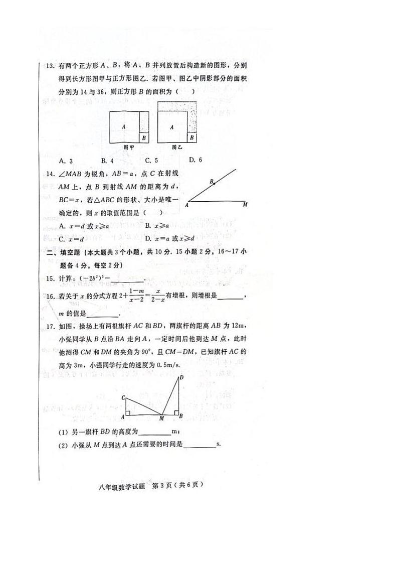 2023-2024学年河北省邯郸市冀南新区八年级(上)期末数学试卷第3页