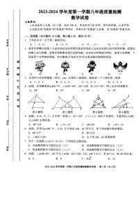 2023-2024学年安徽省合肥市庐阳区八年级（上）期末数学试卷