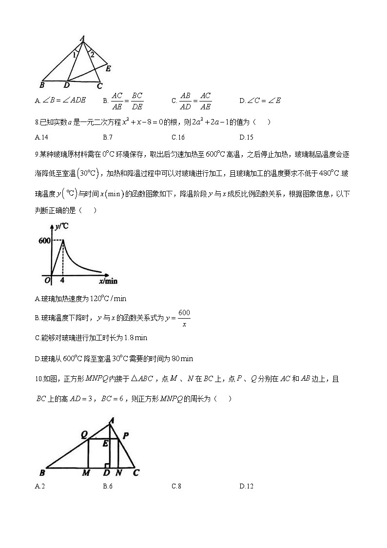 湖南省常德市鼎城区2024-2025学年九年级上学期期中考试数学试题02