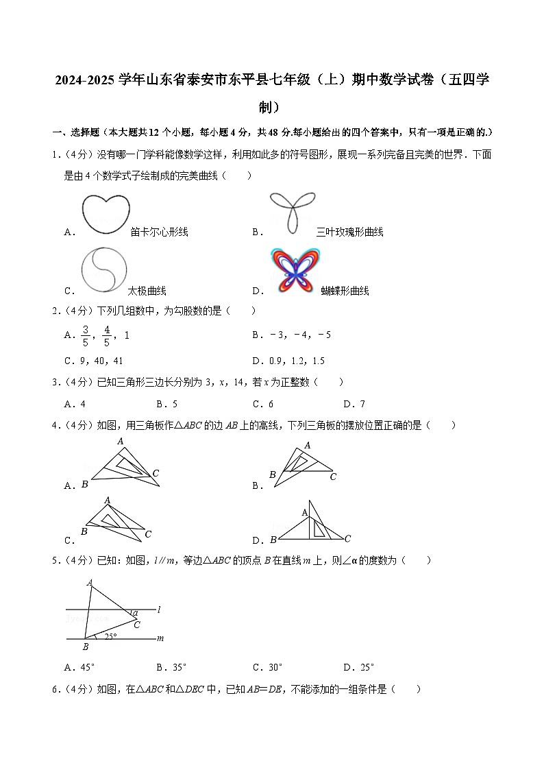 山东省泰安市东平县2024-2025学年上学期七年级期中数学试卷(五四学制)第1页