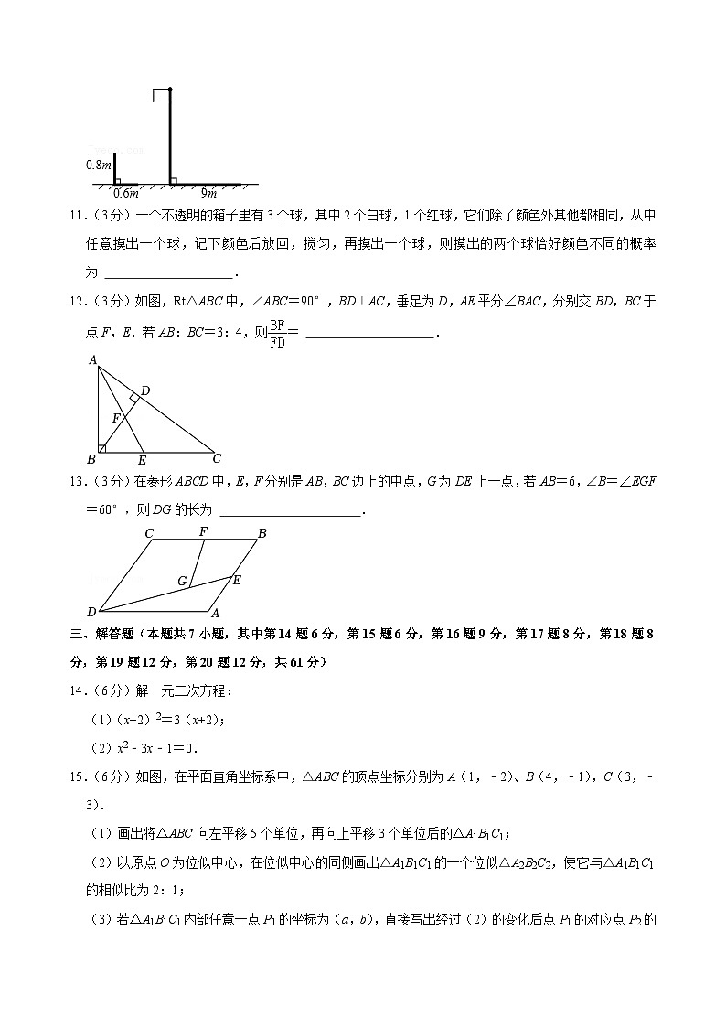 广东省深圳市福田区外国语学校(集团)2024-2025学年九年级上学期11月期中考试数学试题第3页