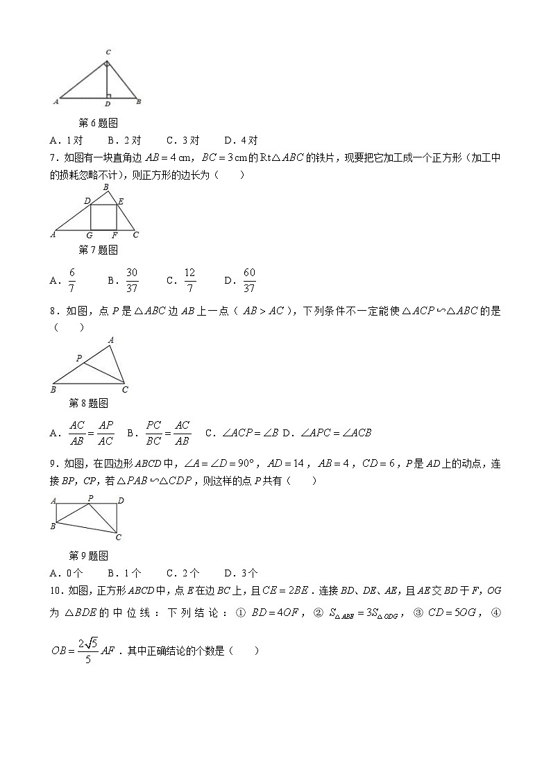 湖南省益阳市赫山区海棠学校2024-2025学年上学期期中考试九年级数学试题第2页