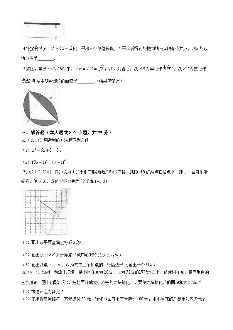 河南省商丘市夏邑县2024-2025学年九年级上学期11月期中数学试题第3页