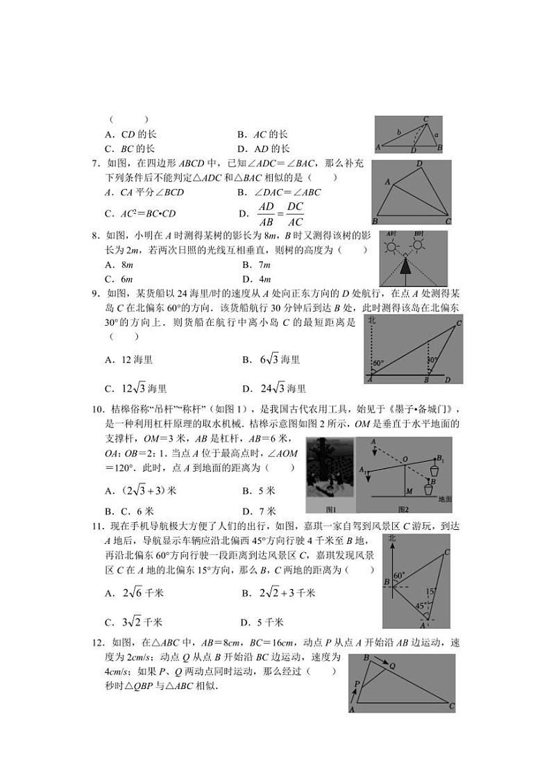 河北省邯郸市永年区2024~2025学年九年级上学期期中考试数学试题(含答案)第2页