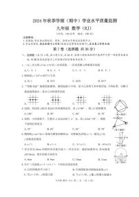 廣西河池市鳳山縣2024-2025學(xué)年九年級上學(xué)期11月期中檢測數(shù)學(xué)試題