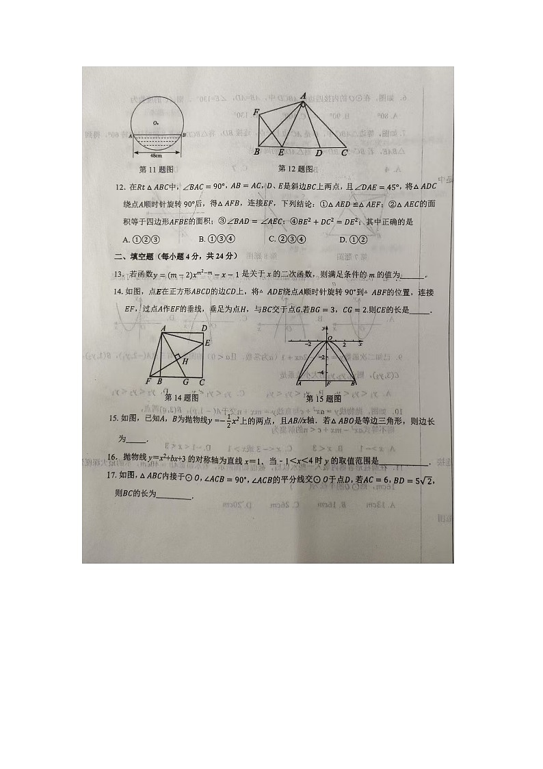 山东省德州市陵城区2024-2025学年9年级上学期期中数学试题 第3页