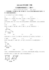 广东省茂名市茂南区直属学校2024~2025学年上学期九年级数学期中考试试卷(含答案)