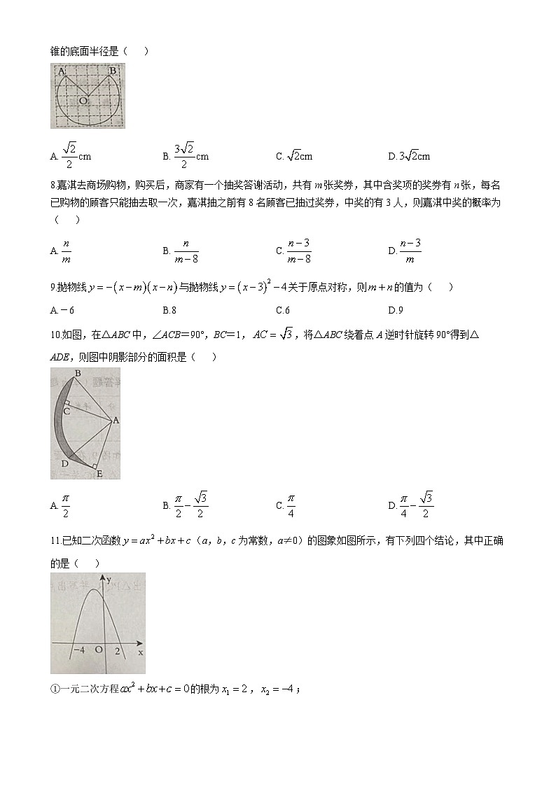 河北省沧州市东光县五校联考2024-2025学年九年级上学期11月期中数学试题(无答案)02