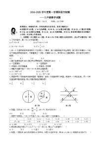 山东省青岛市青岛大学附属中学2024-2025学年九年级上学期期中考试数学试题