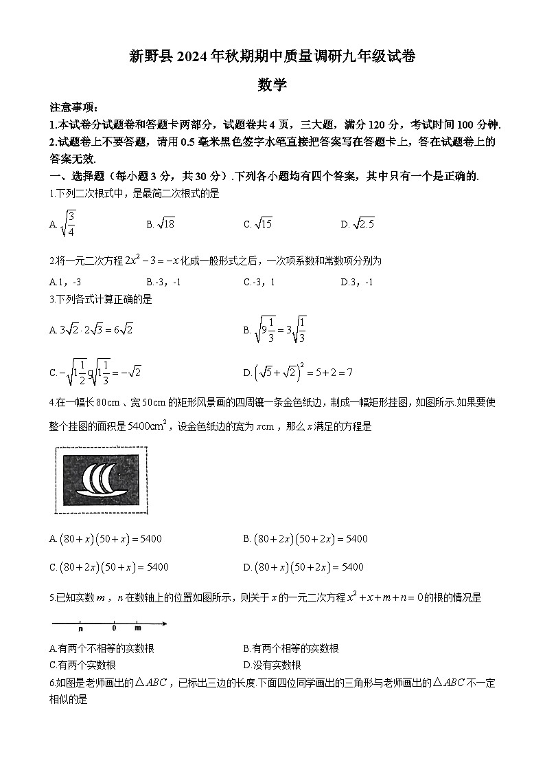 河南省南阳市新野县2024-2025学年九年级上学期11月期中考试数学试题01