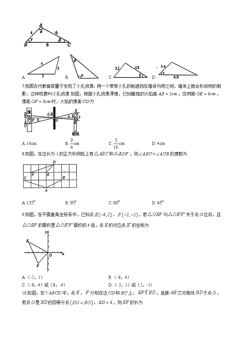 河南省南阳市新野县2024-2025学年九年级上学期11月期中考试数学试题02