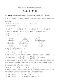 河南省南阳市桐柏县2024～2025学年九年级(上)期中数学试卷(含答案)