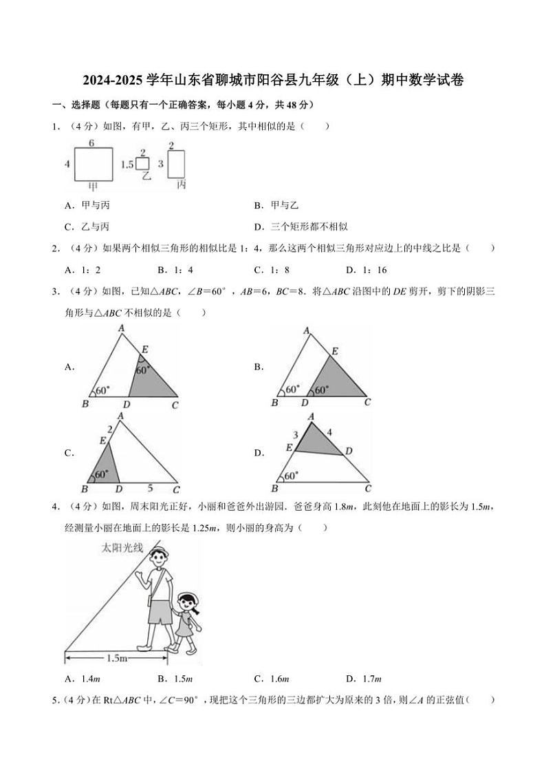 山东省聊城市阳谷县2024~2025学年九年级(上)期中数学试卷(含详解)第1页